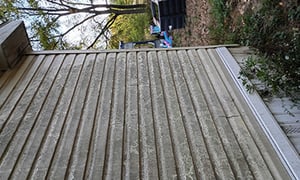 pt-ccd140545a42-w300.jpg